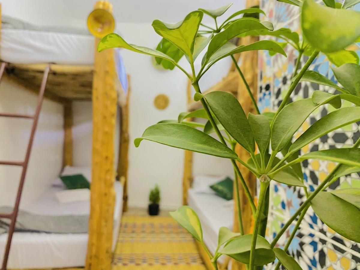 Tizaou Guest House Taghazout Ngoại thất bức ảnh
